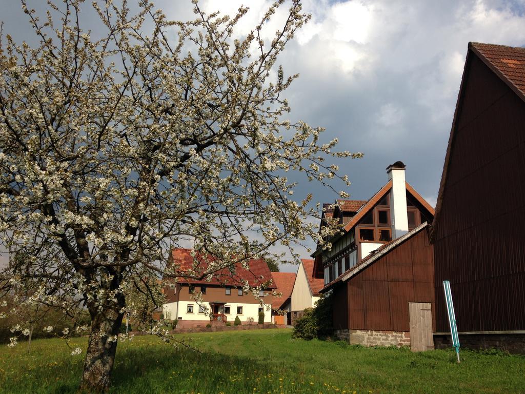 Ferienhaus Annabell Weisbach  エクステリア 写真