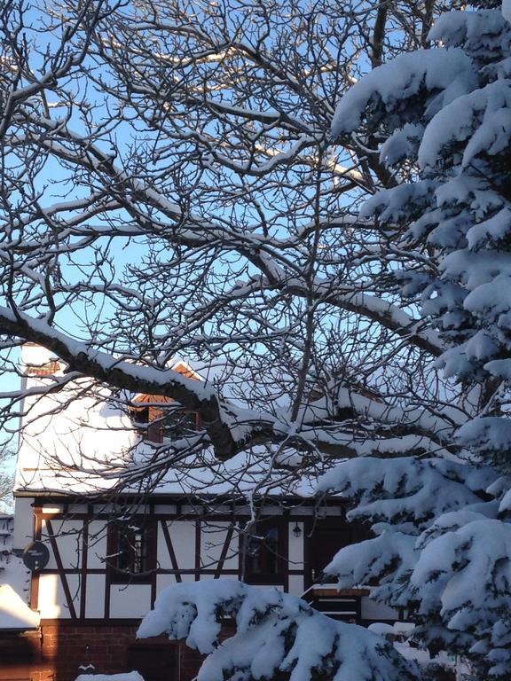 Ferienhaus Annabell Weisbach  エクステリア 写真